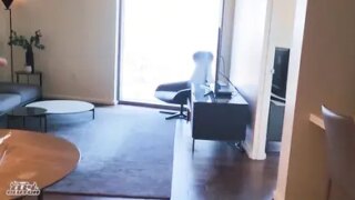 Slutty Delivery Girl Handles Johnny Sins’ Package